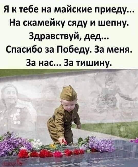 Я к тебе на майские приеду На скамейку сяду и шепну Здравствуй дед Спасибо за Победу За меня За нас За тишину
