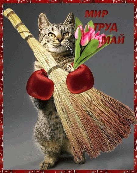 А 4 Зтід 4 зип д 4