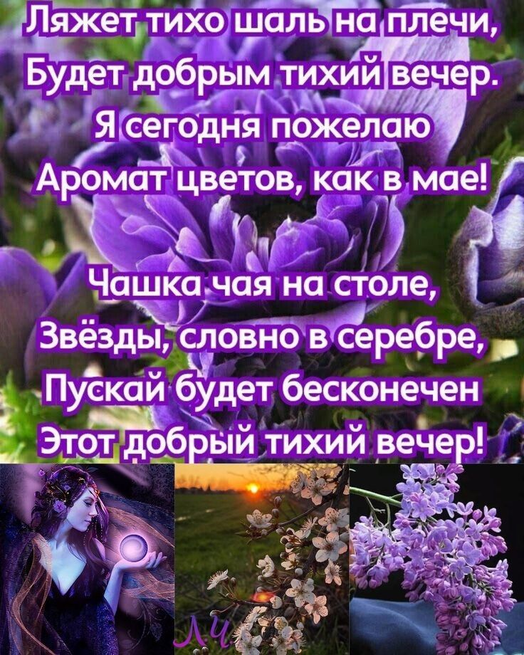 Ляжеттихо шальЧнб плечи і в Будет добрым тихий вечер _ Т дд_ ЯГсегодня пожеъпю д Аромат цветов как в мае ЁЁ Чашкачая на столе и ___ Звёзды словно всере6ре Пускай будет бесконечен отдоб ый тихий вечер