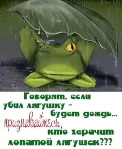 Геверят. Ссли убил лагушку  6,9 сеждь...  Пооиабайнсе  кте херачит лепатой лягушск???