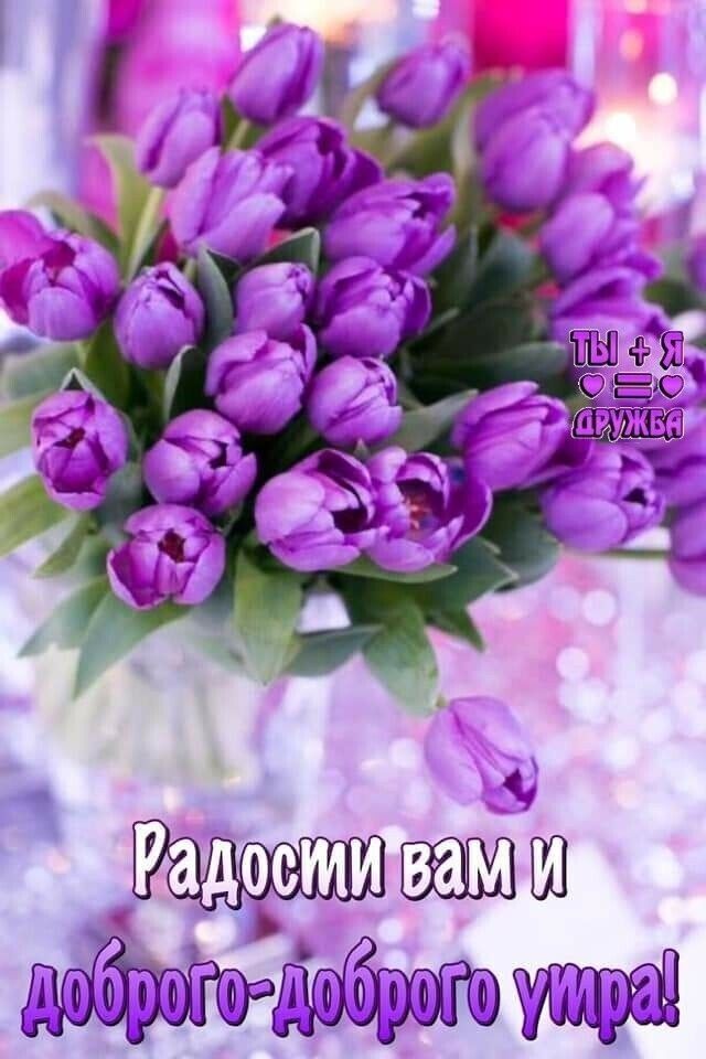 Т  ы радоститвами