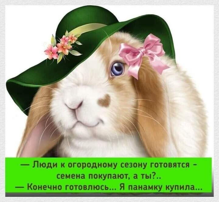 _ ЛЮДИ И ОГОРОДНОМУ СЕЗОМУ ГОТОВЯТСЯ СЕМЕИВ ПОКУПЗЮТ а ні Конечно готовлюсь Я паиаику купила