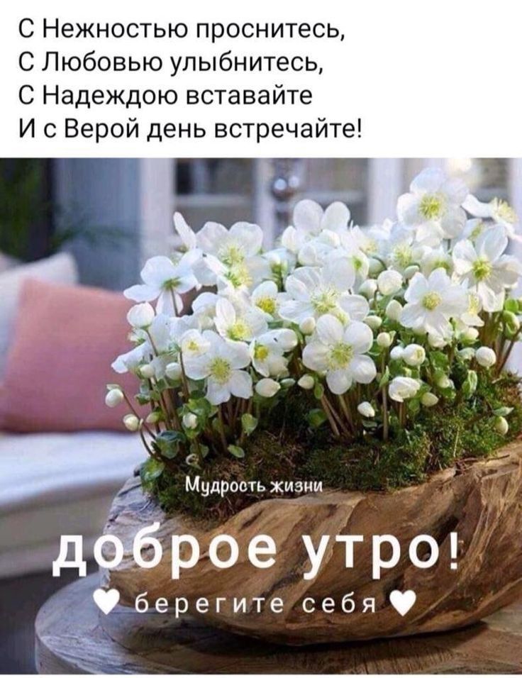 С Нежностью проснитесь С Любовью улыбнитесь С Надеждою вставайте И с Верой день встречайте д Р 0 е ут р о_ берегите себя чьё