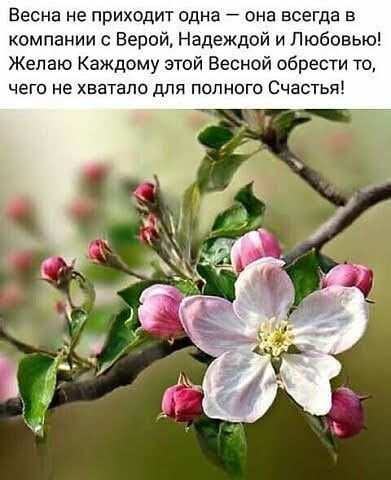 Весна не приходит одна она всегда В компании Верой Надеждой и Любовью Желаю Каждому этой Весной обрести то ЧЕГО не ХЕЗТЗПО ДЛЯ ПОЛНОГО СЧЗСТЬЯ