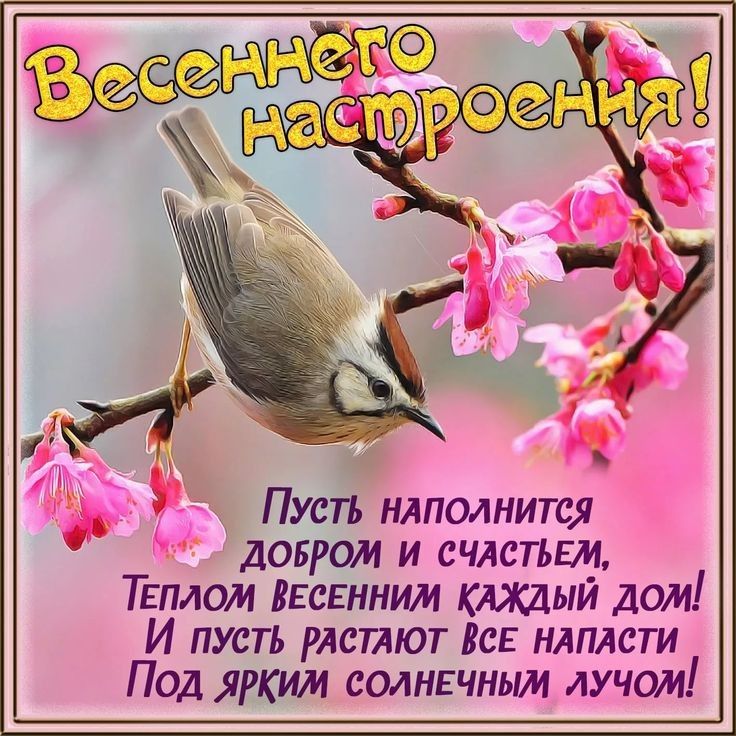 _ Пусть нлполнится довром и счлстьш ТЕплом ВЕСЕННИМ клждый дом И пусть рлстлют Вс нлплсти Под ярким солньчньш лучом