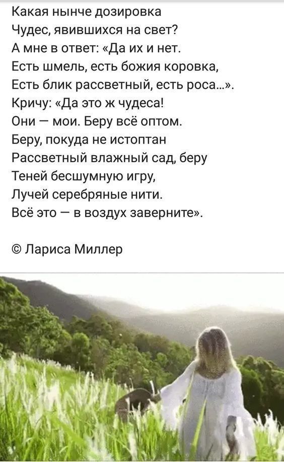 Какая нынче дозировка Чудес явившихся на свет А мне в ответ Да их и нет Есть шмель есть божия коровка Есть блик рассветный есть роса Кричу Да это ж чудеса Они мои Беру всё оптом Беру покуда не истоптан Рассветный влажный сад беру Теней бесшумную игру Лучей серебряные нити Всё это в воздух заверните Лариса Миллер