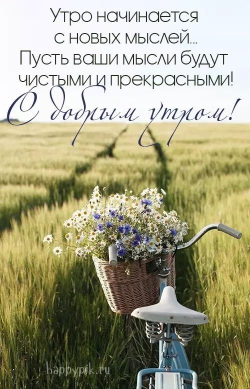 Утро начинается с новых мысей Пусть ваши мыси будут чистЁлЁЁ прекрасными тд МЦ