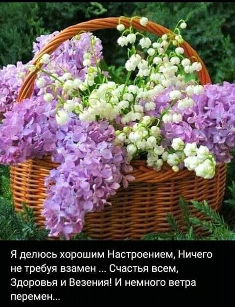 Я делюсь хорошим Настроением Ничего не требуя взамен Счастья всем Здоровья и Везения И немного ветра перемен