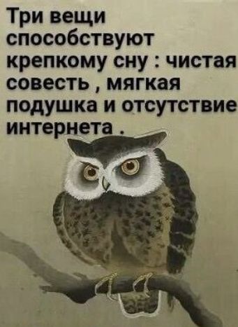 Три вещи способствуют крепкому сну чистая совесть мягкая подушка и отсутствие интернета
