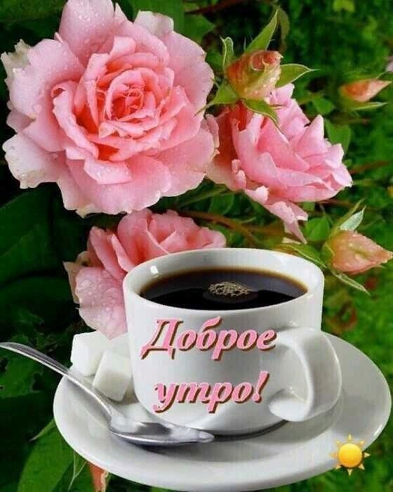 уоли гуио'у 2 ч .