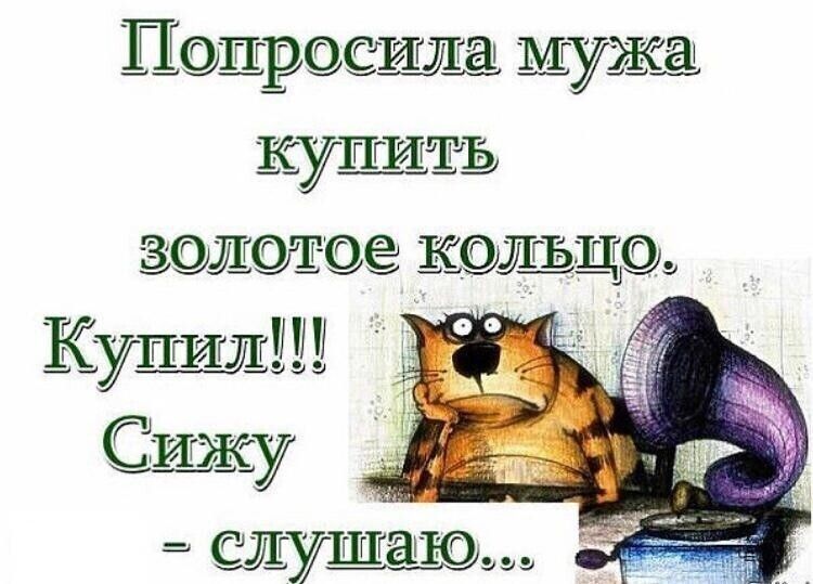 7 золотое кольцо. 2  шушг:'юэээ
