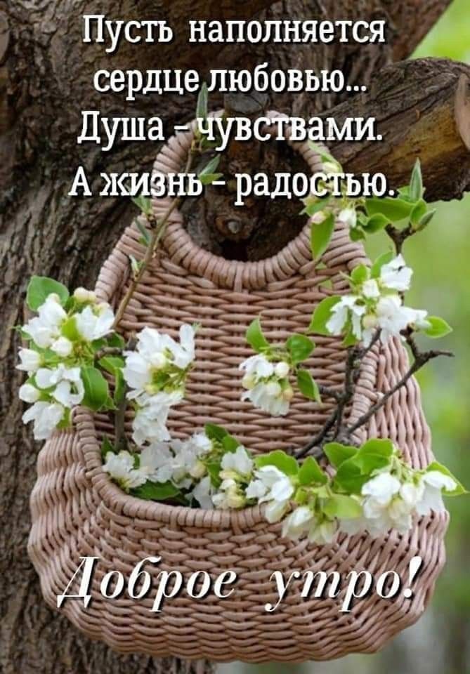 чи _ Пусть наполняётся сердцедюбоВью ДушадіттЁЁі АЖИЁ ХЪ радо 303