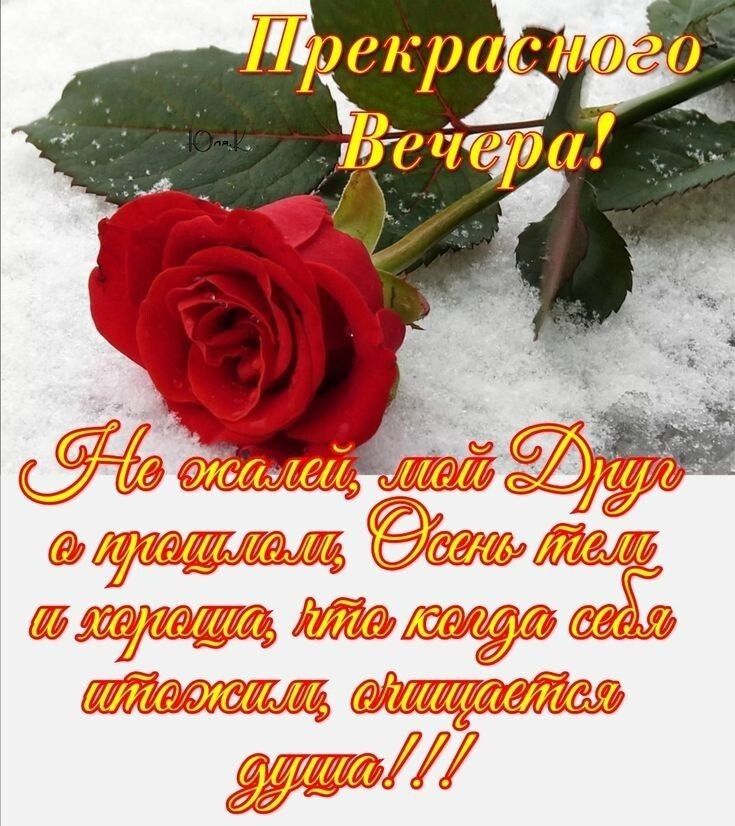 в 31 1 т ы души