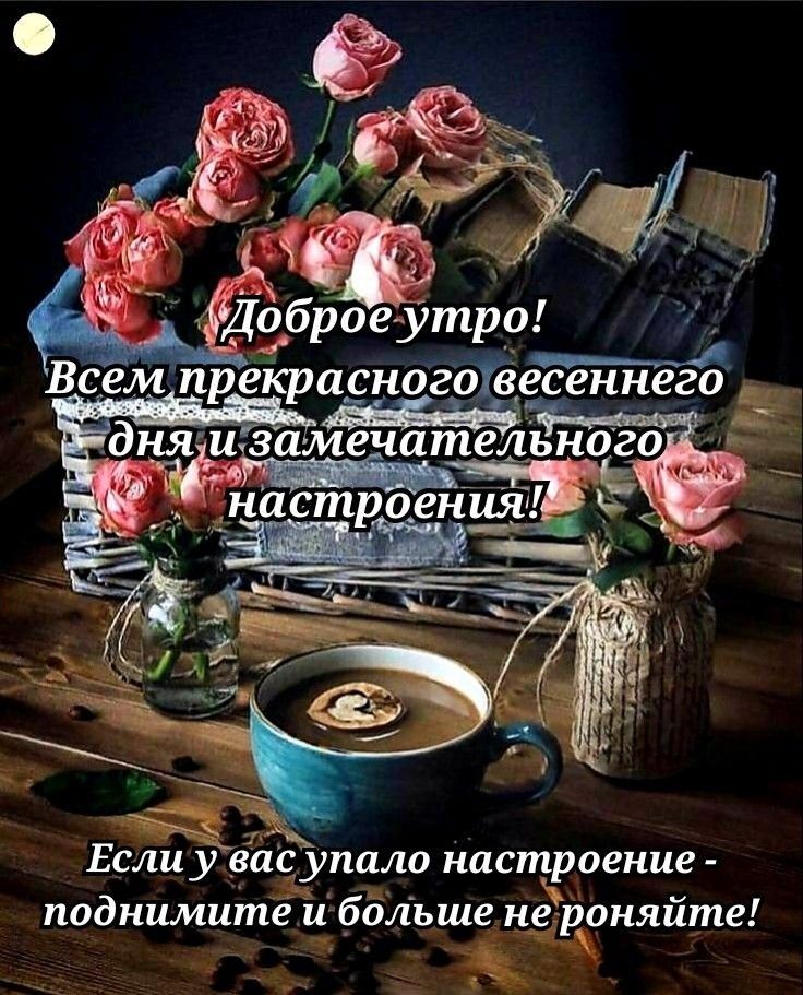 Всемпрекрасногойгесеннего _ Ад3ам е_Г чател ьного настроения Е жа Если у васупало настроение поднимитё и ббльше нёроняйте