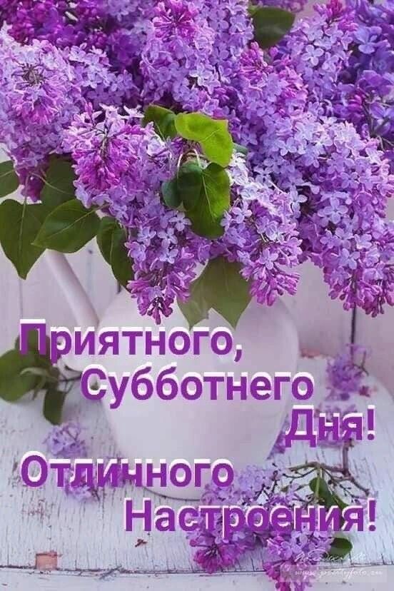 хч нгмкчгк угщ к __ЕЦ Милу ад нм вы кь 4 и
