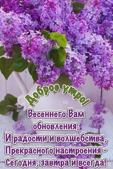 Вобновленияваёш ВОММебства