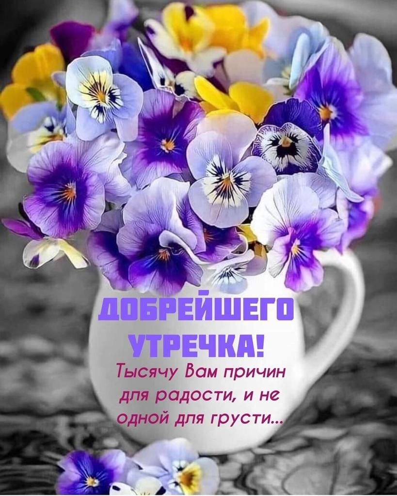 Тысячу Вам причин для радости и не іёй дпя грусти
