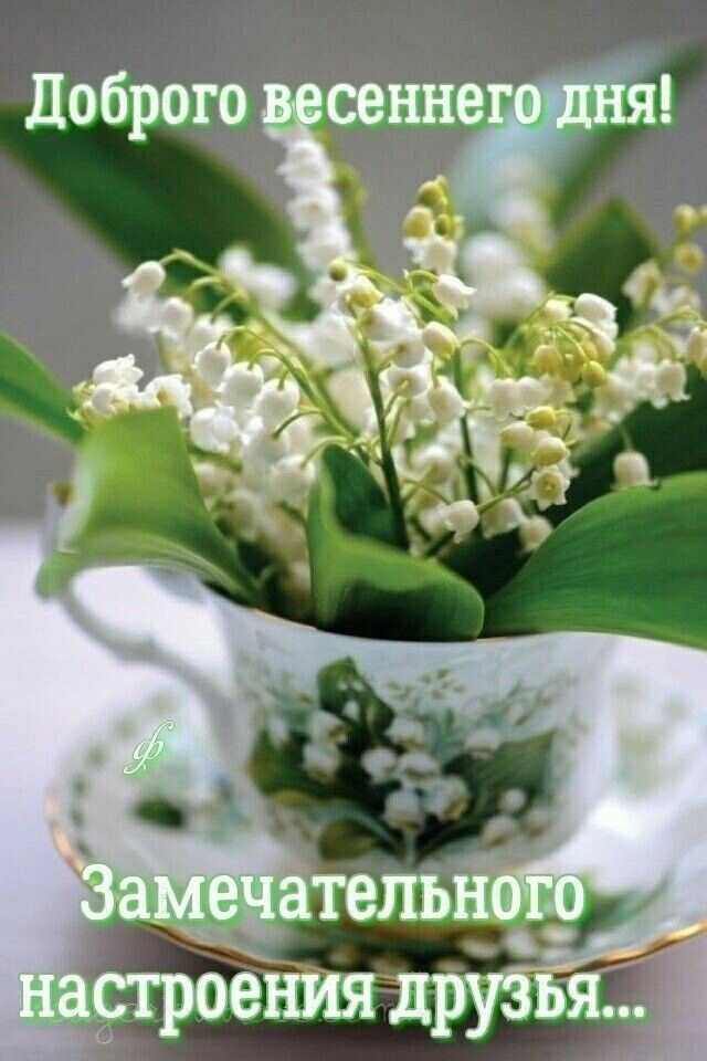 Доброго санкт