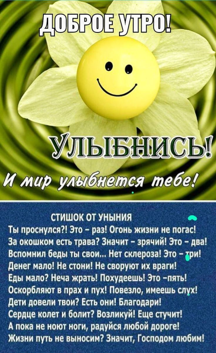 ЧУПП71 Д 1 П11 ШШШ А 115 11ыі_1еЁ 19134513123