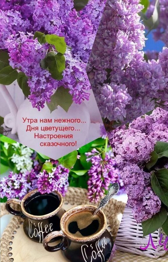 Дня цветущего Настроения сказочного
