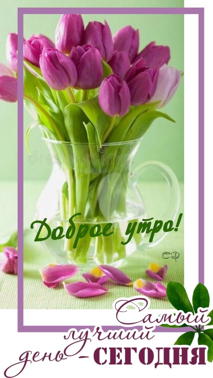 Ёшёъ СЕГ0ДПЯ