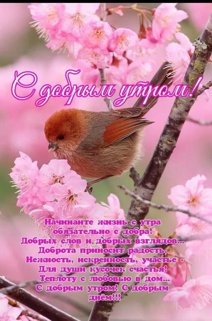 для ек Тен лоту любовью вдо
