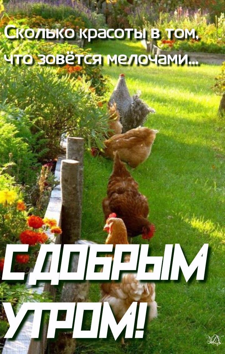 лгь 9 И _ Скопвію красоты в том Чтб зовётсямело ами