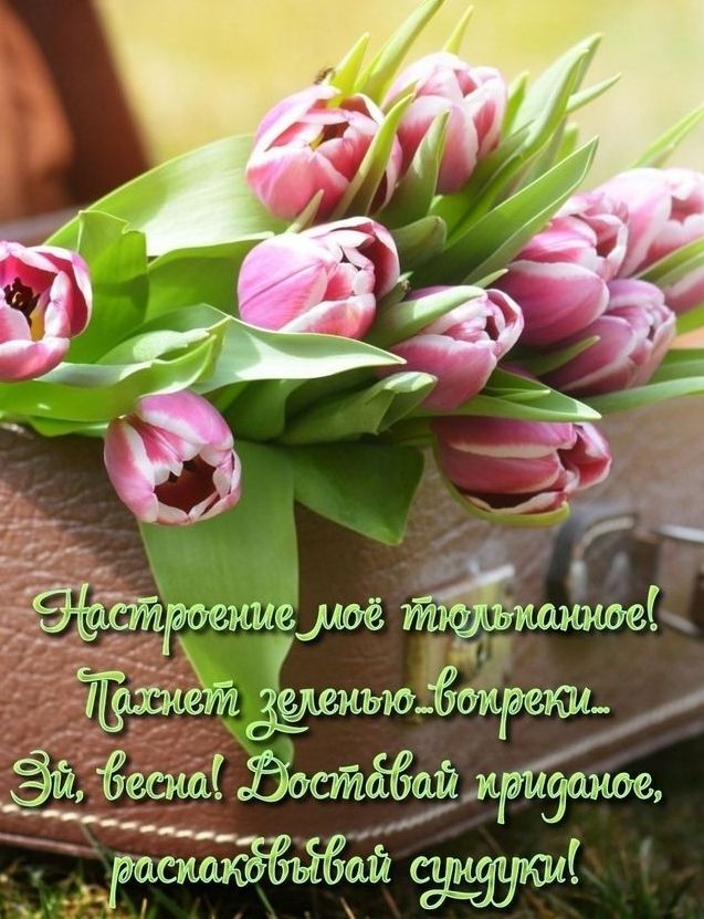 дд __ _ ррзмивмпё т ТЁТЁщшт 14_ Зи ЁесшхЁ мр Т_расшшёЁьЁЁай Ё