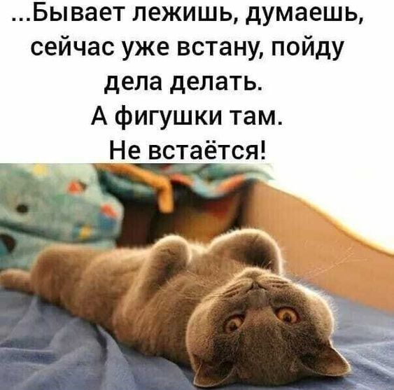 Бывает лежишь думаешь сейчас уже встану пойду дела делать А фигушки там Не встаётся
