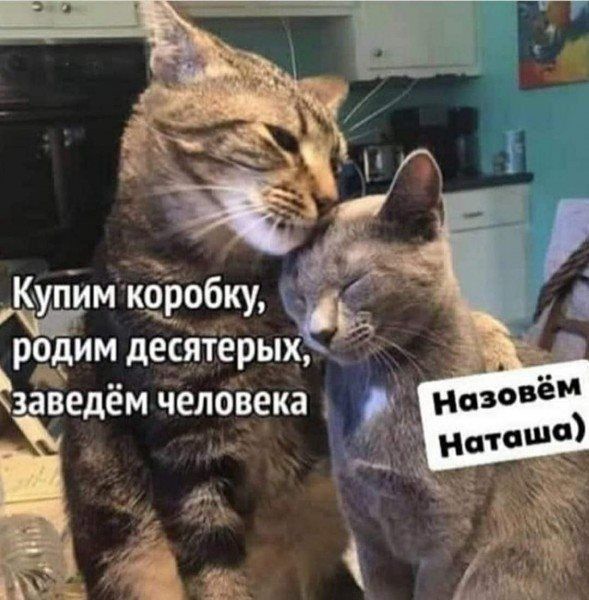 рдим десйіерых зайедём человека