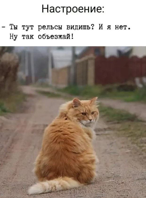 Настроение Тн тут рельсы видишь И я нет Ну так объезжай