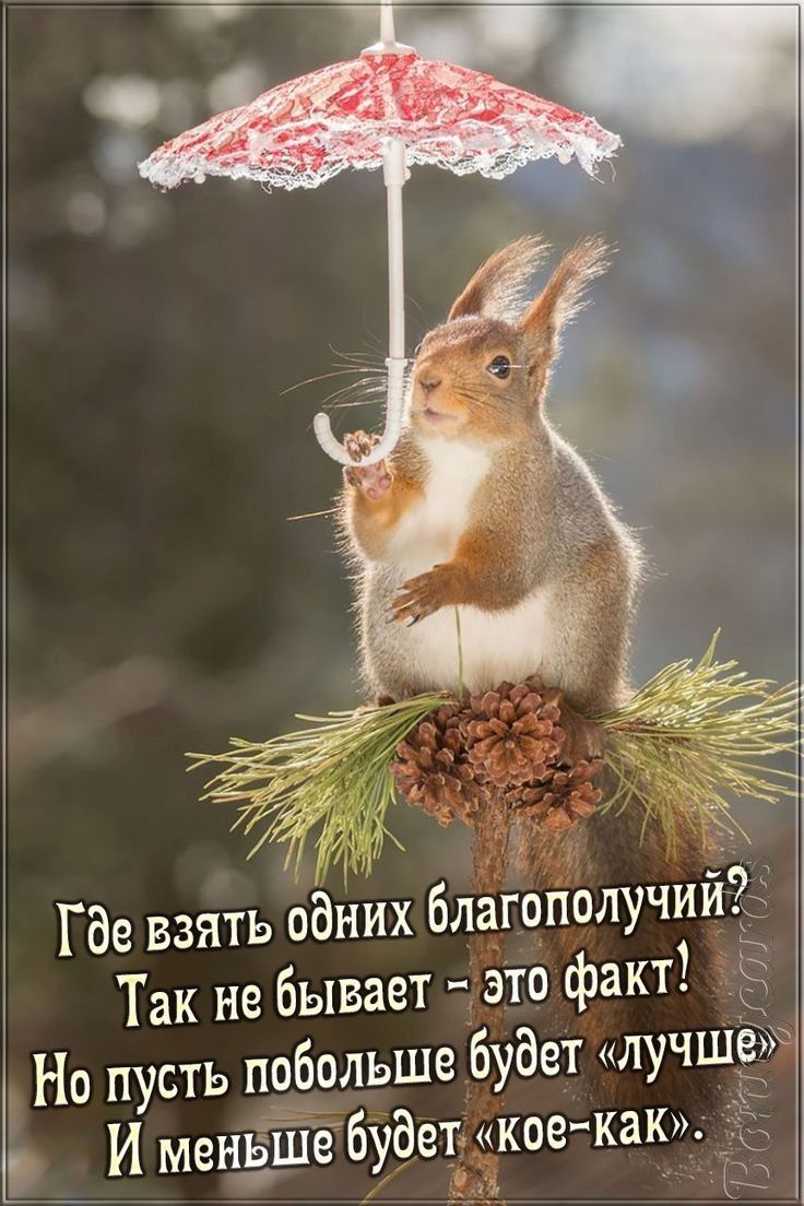 _ Где взять одних благополучийё Так не бывает 1 Это факт Ё Но пусть побольше будет лучшё И менЁЁіебуЕЗемкоекак _ _7