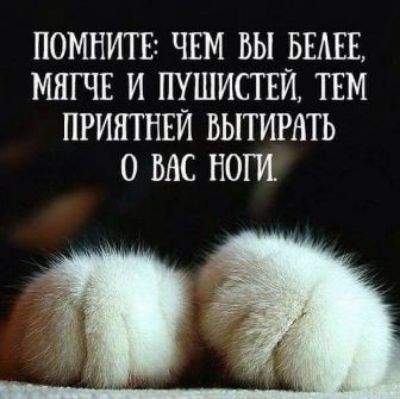 ПОМНИТЕ ЧЕМ БЫ _БЕАЕЕ МНГЧЕ И ЩШИСТЕИ ТЕМ ПРИНТНЕИ ВЫТИРНТЬ 0 ВАС НОГИ
