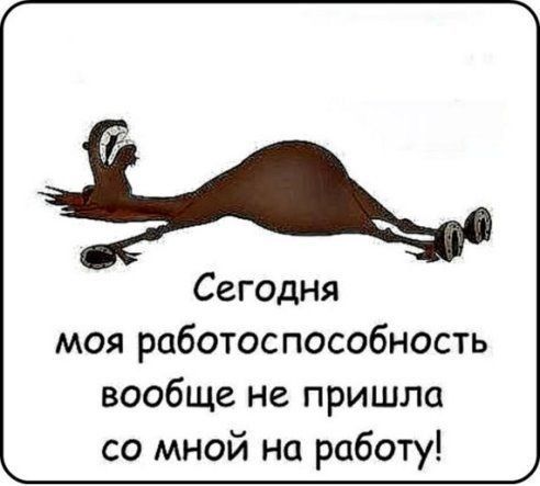 Сегодня моя работоспособность вообще не пришла со мной на работу