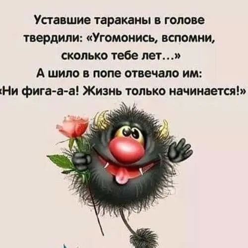 Упавшие тараканы в голове твердили Угомоиисы вспомни сколько тебе лет А шило в попе отвечало им кНи фига а а Жизиь только начинается