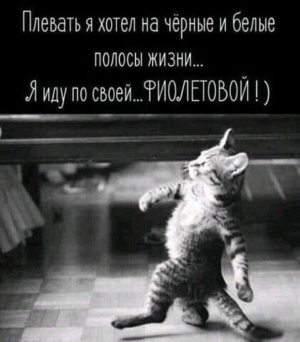 Плевать я хотел на чёрные и белые полосы жизни Я иду по своеиРИОЛЕТОБОЙ
