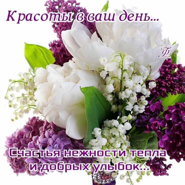 Красоты ваш день