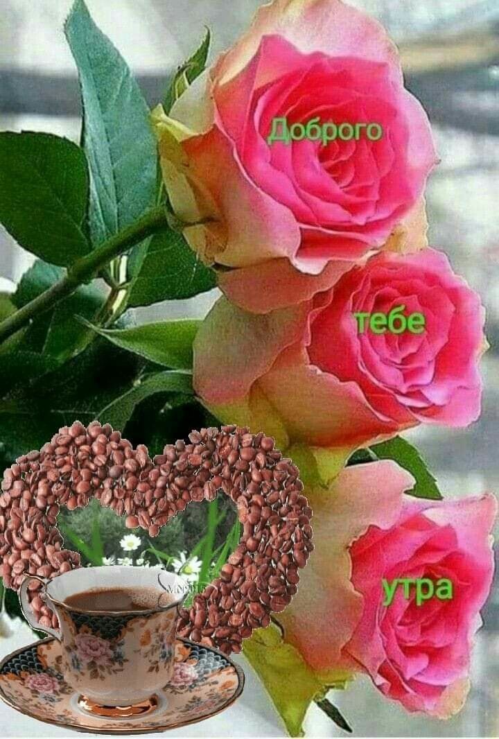 4 доброго