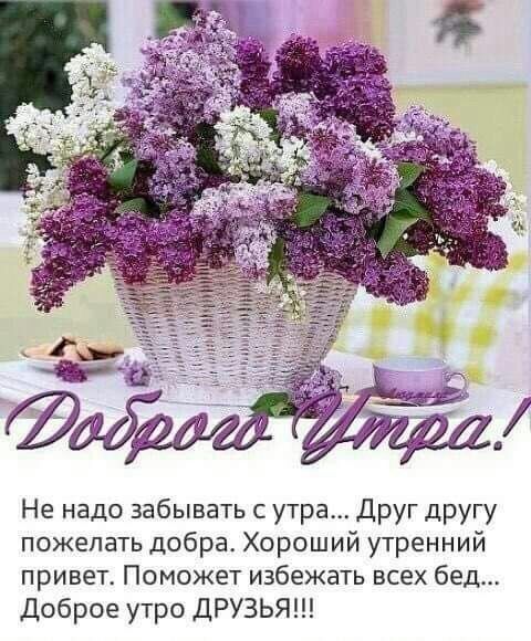 Не надо забывать с утра Друг другу пожелать добра Хороший утренний привет Поможет избежать всех бед Доброе утро ДРУЗЬЯ