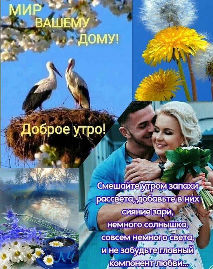 Смешайтефутром, эсшпм рпссве' в ц ве