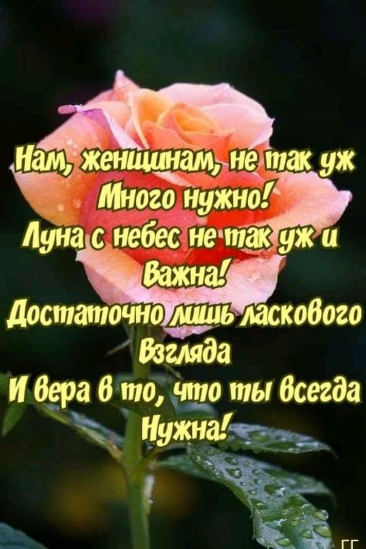 ениишн ж так уж Много нужно луна с небЙіе так уж и Важна достаточно лшиь ласкобого Взгляда И бара 6 то нда ты Всегда нужна
