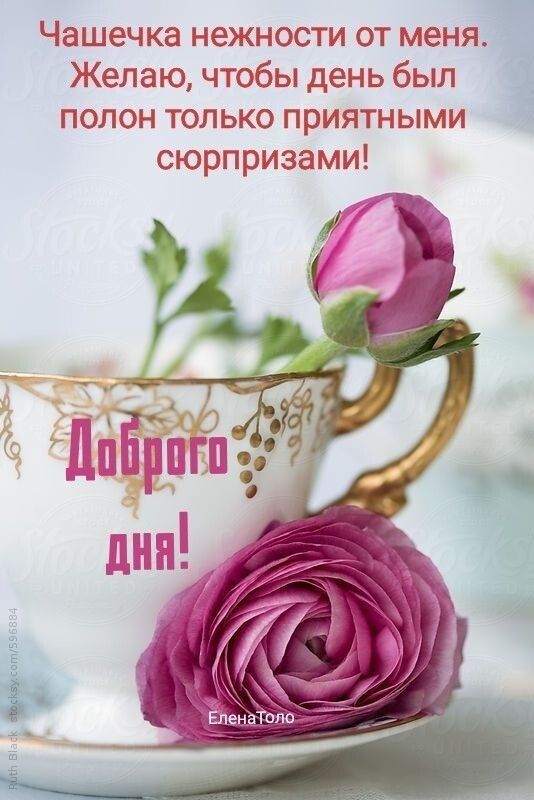Чашечка нежности от меня Желаю чтобы день был полон только приятными сюрпризами ЕпенаТоло