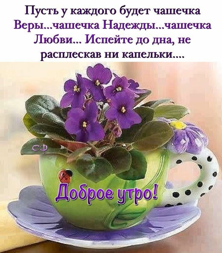 Пусть у каждого будет чашечка Верычашечка Надеждычашечка Любви Испейте до дна не расплескав НИ капельки