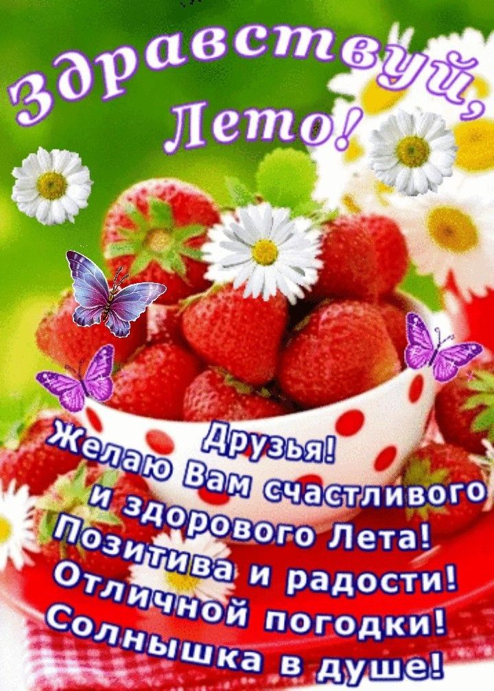 на ИП ШР радост Ной