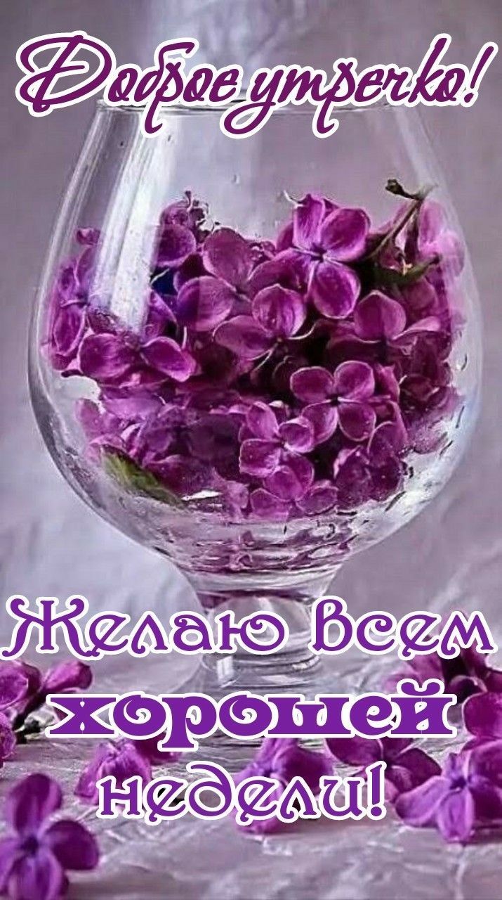 Ёгцшаю рбе м хороше  гёга