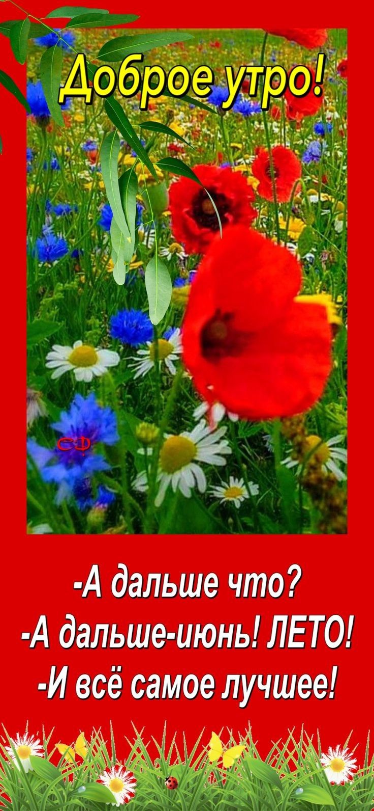 А дальше что А дальше июнь ЛЕТО И всё самое лучшее