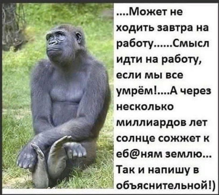 Может не ходить завтра на работу Смысл если мы все умрёмА через _ несколько миллиардов лет солнце сожжет к ебням землю Так и напишу в бъяснительной