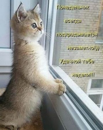 Пунздалыип 7 всегда незаметил ний та