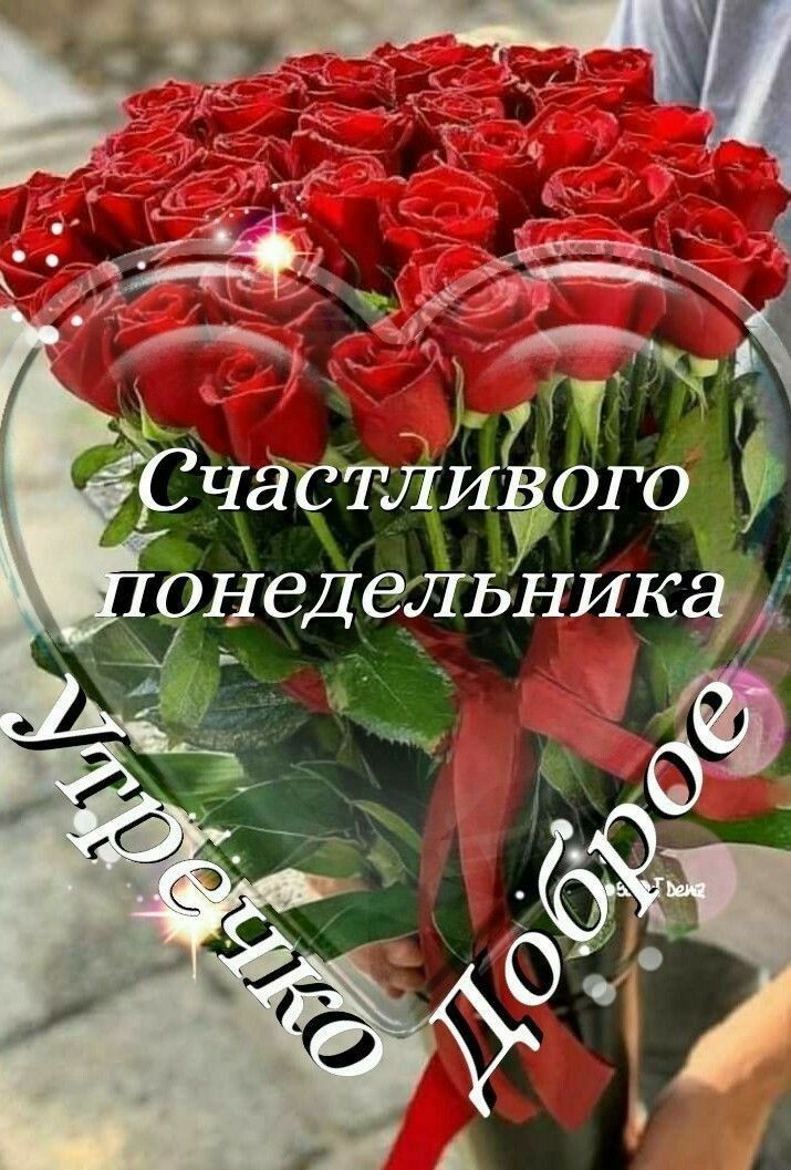 1 Частлиууого _ ОНВДВЛЪНИК_ А д __ 11 _ 1 с _ и _ у
