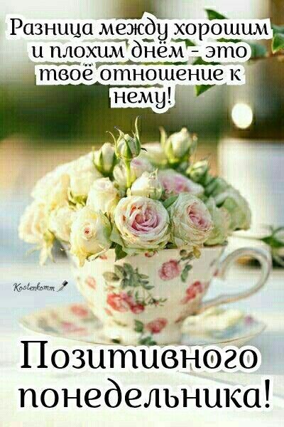 И Разница между хорошим и плохим бнём это твоё отношение К Позитивного понедельника